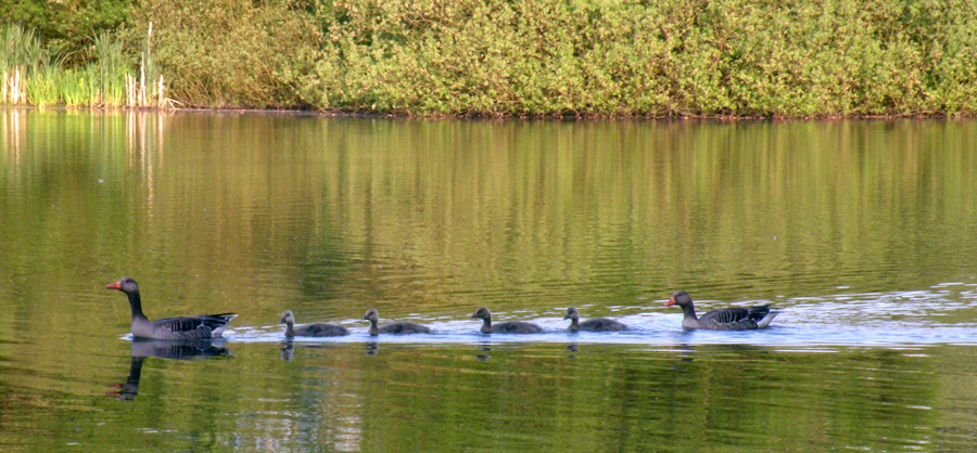 Familienausflug