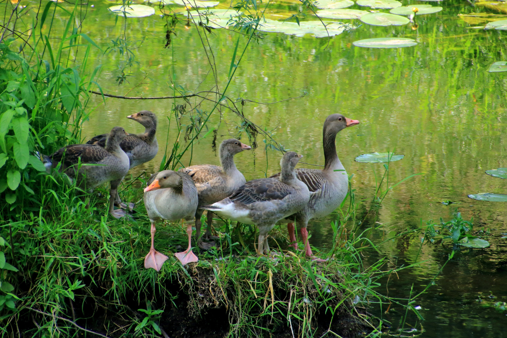 Familienausflug!