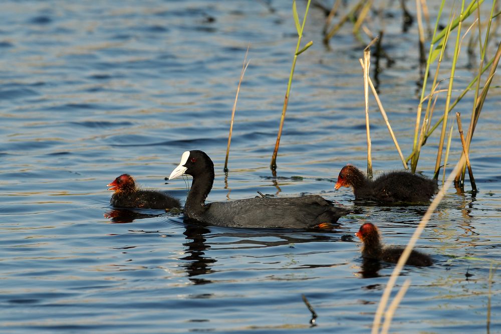 Familienausflug