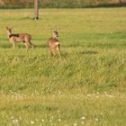 Familienausflug 1