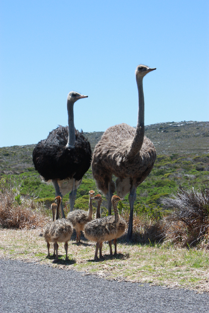 Familienausflug