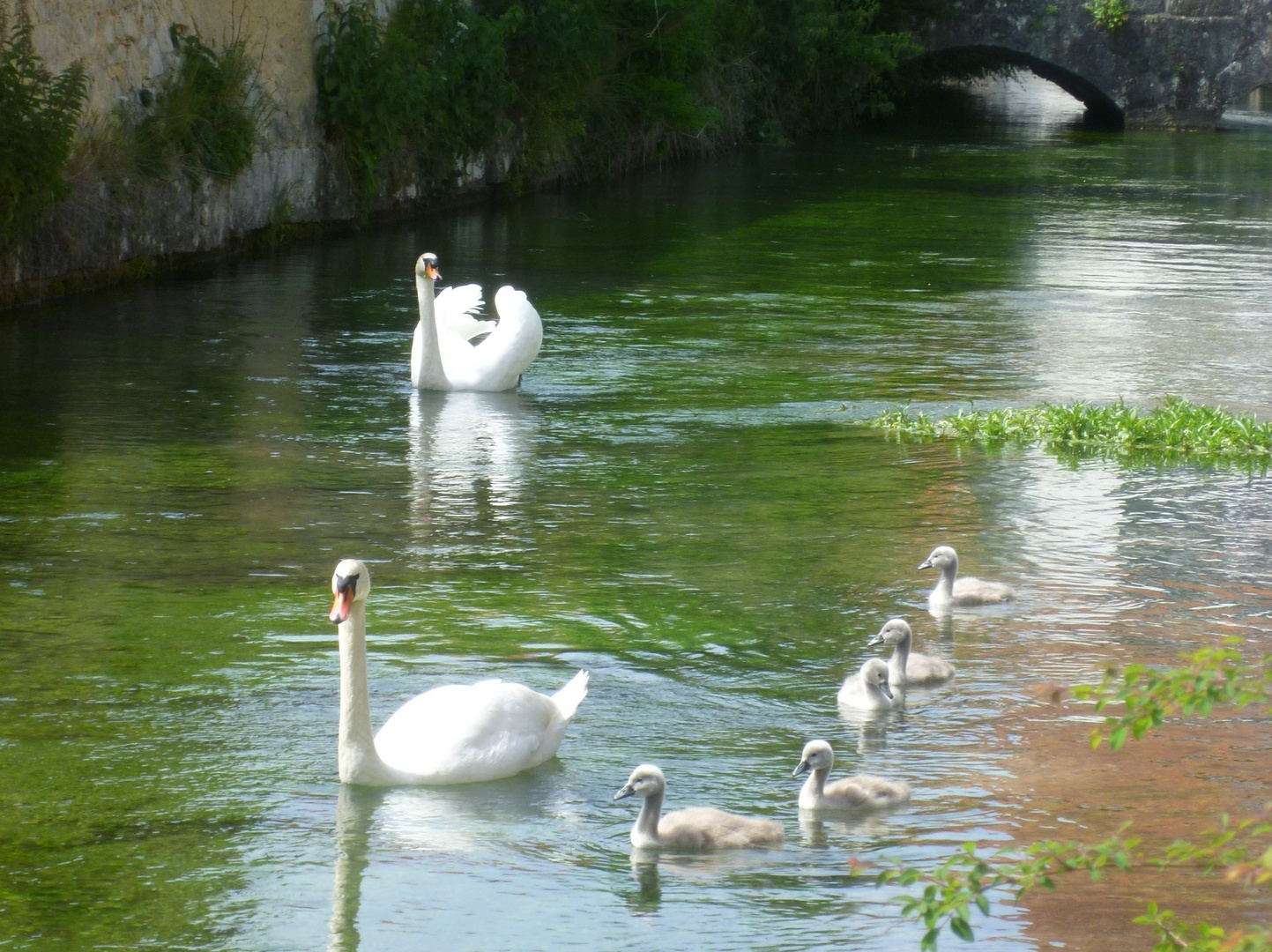 Familienausflug