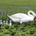 Familienausflug