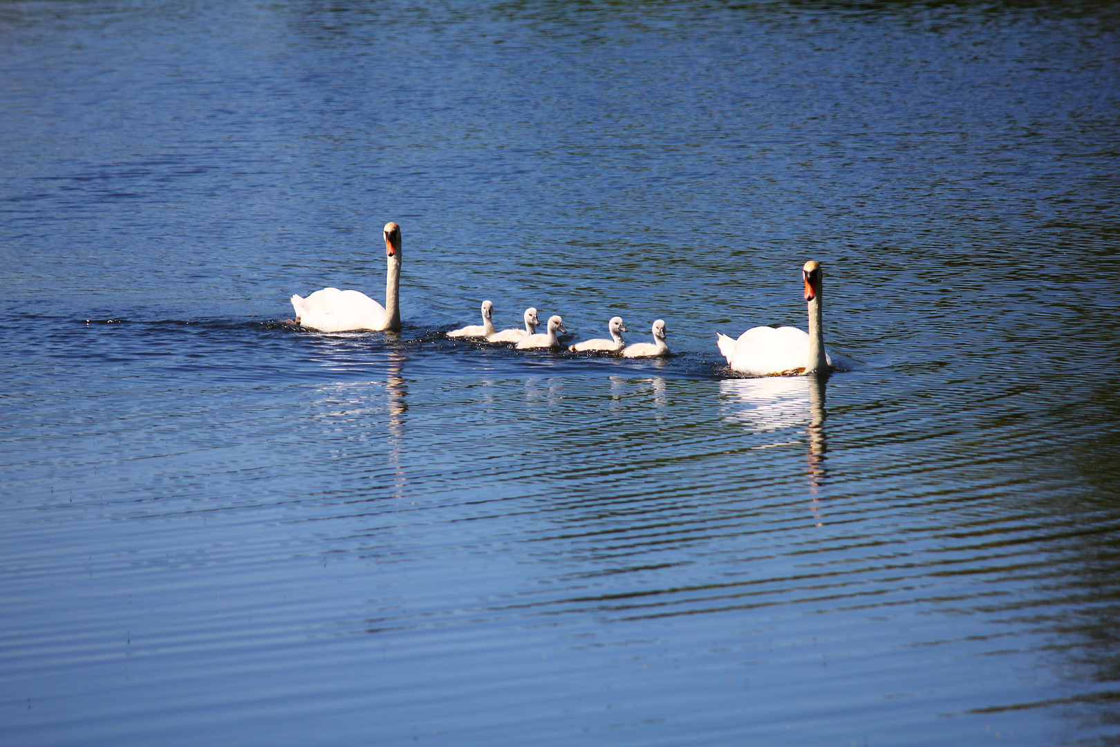 Familienausflug