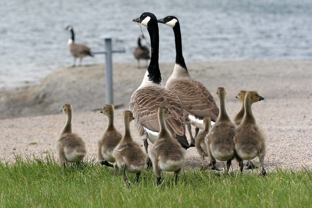 Familienausflug