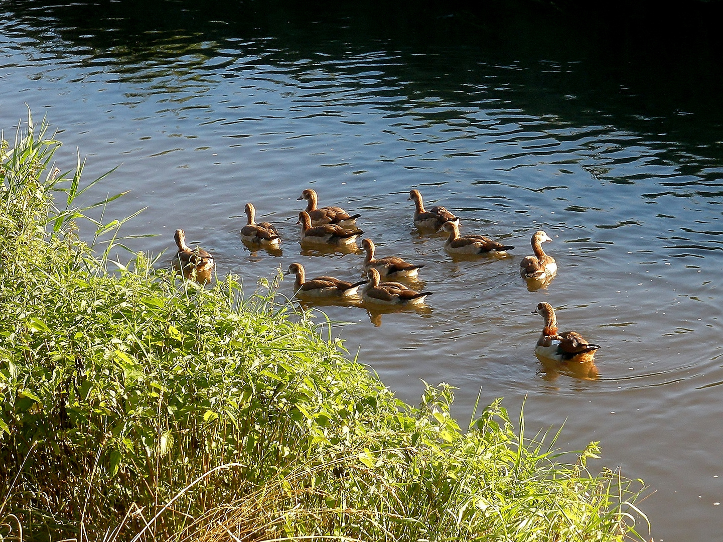 Familienausflug