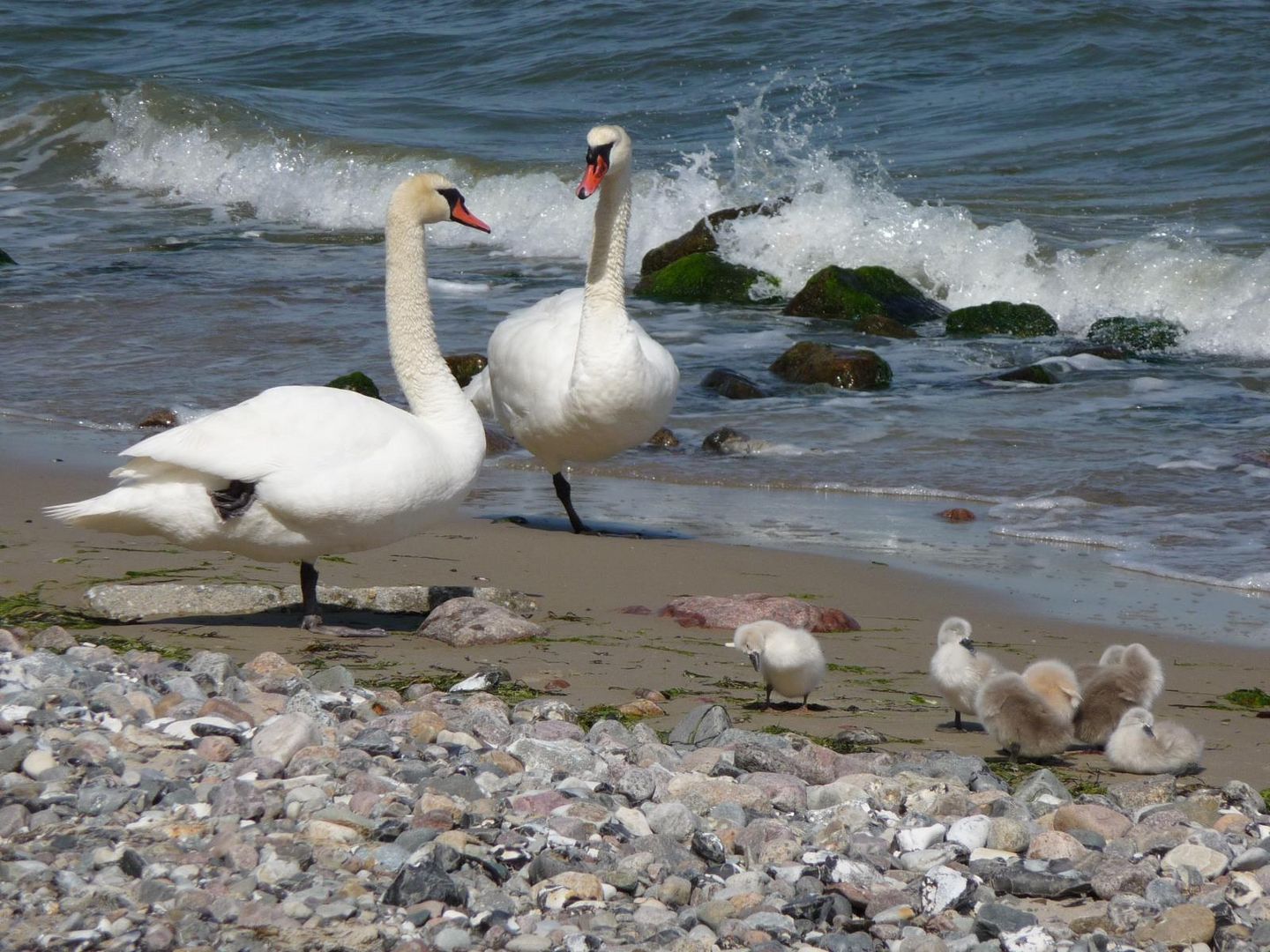 Familienausflug