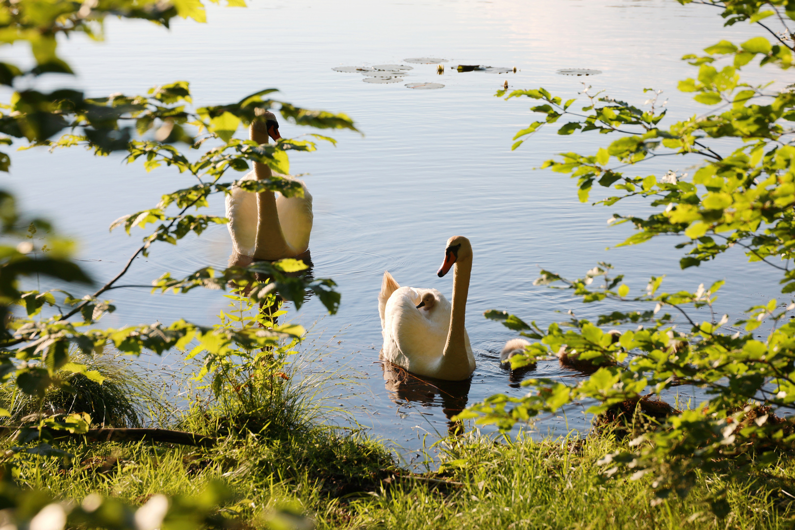 Familienausflug