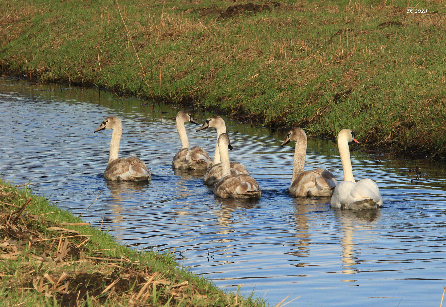 Familienausflug