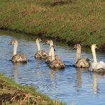 Familienausflug