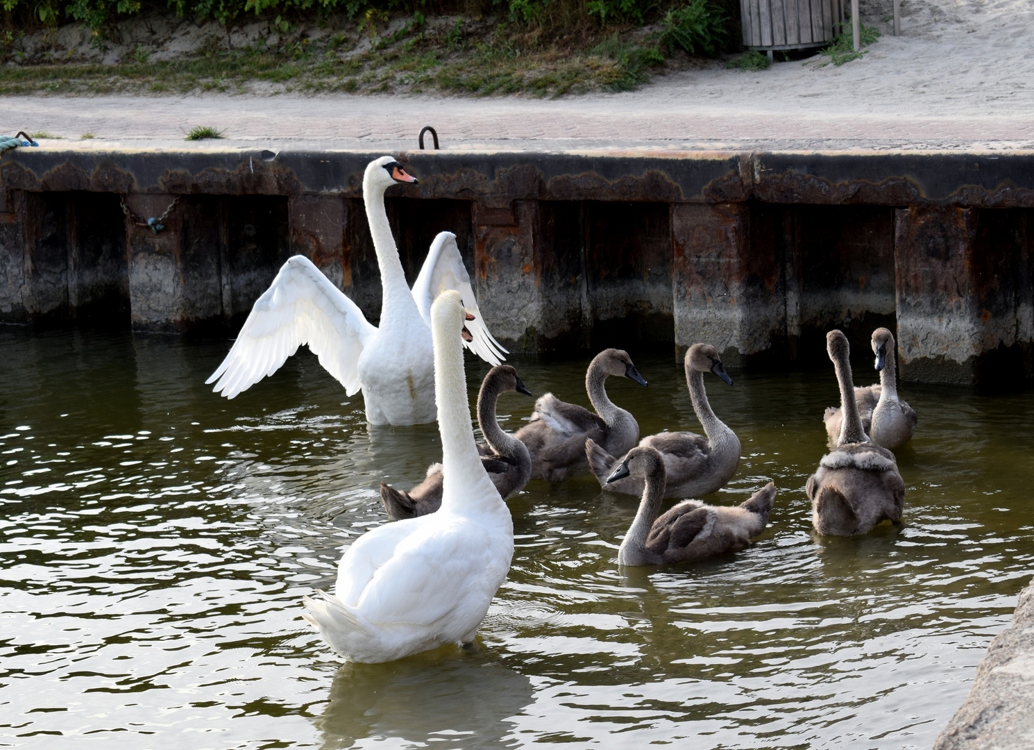 Familienausflug