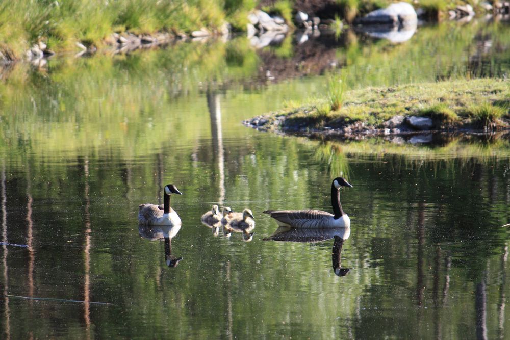 Familienausflug