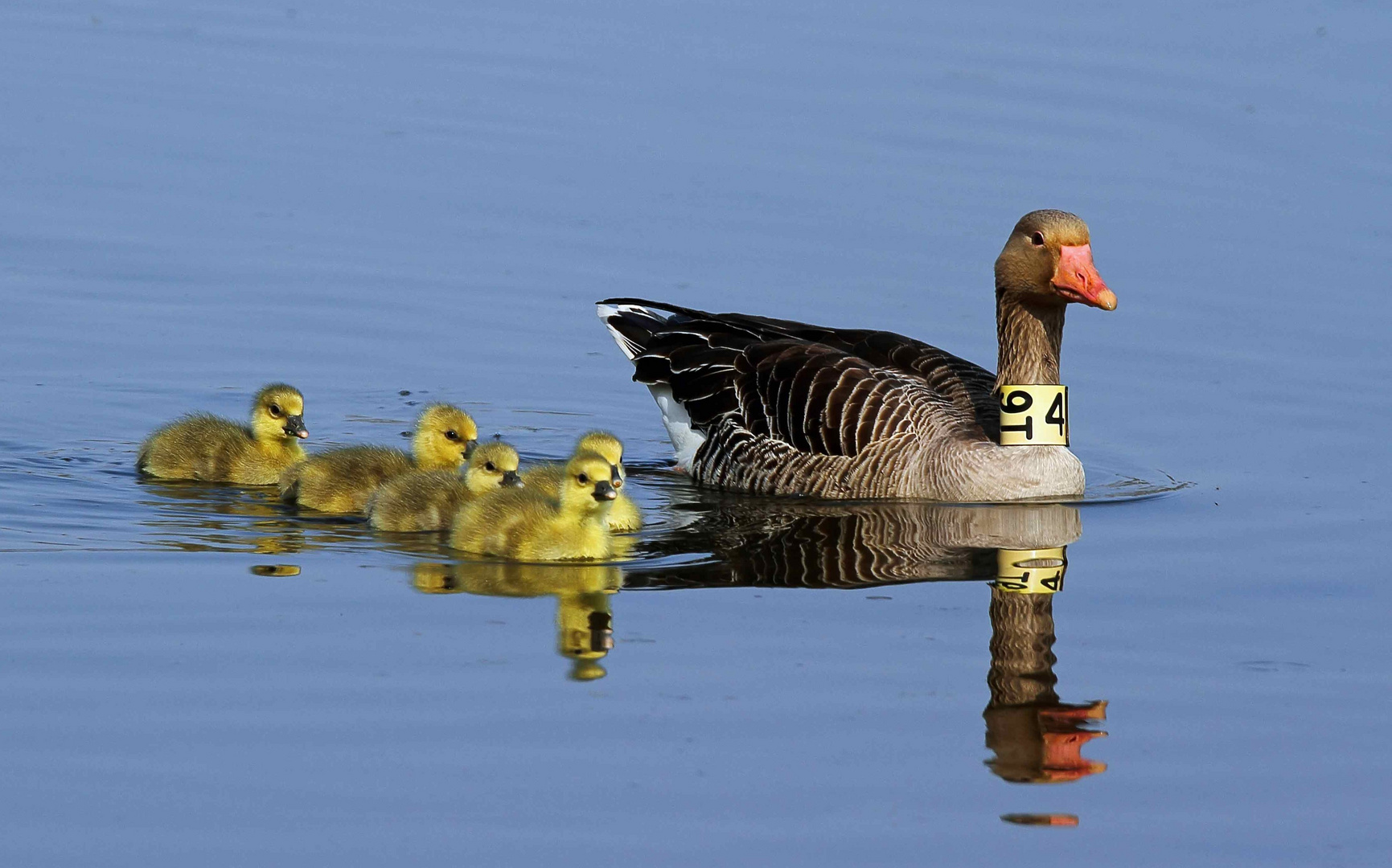 Familienausflug