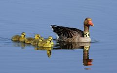 Familienausflug