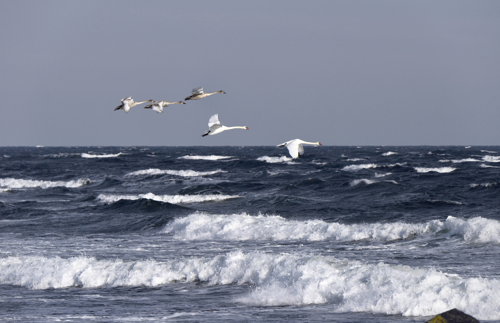 Familienausflug