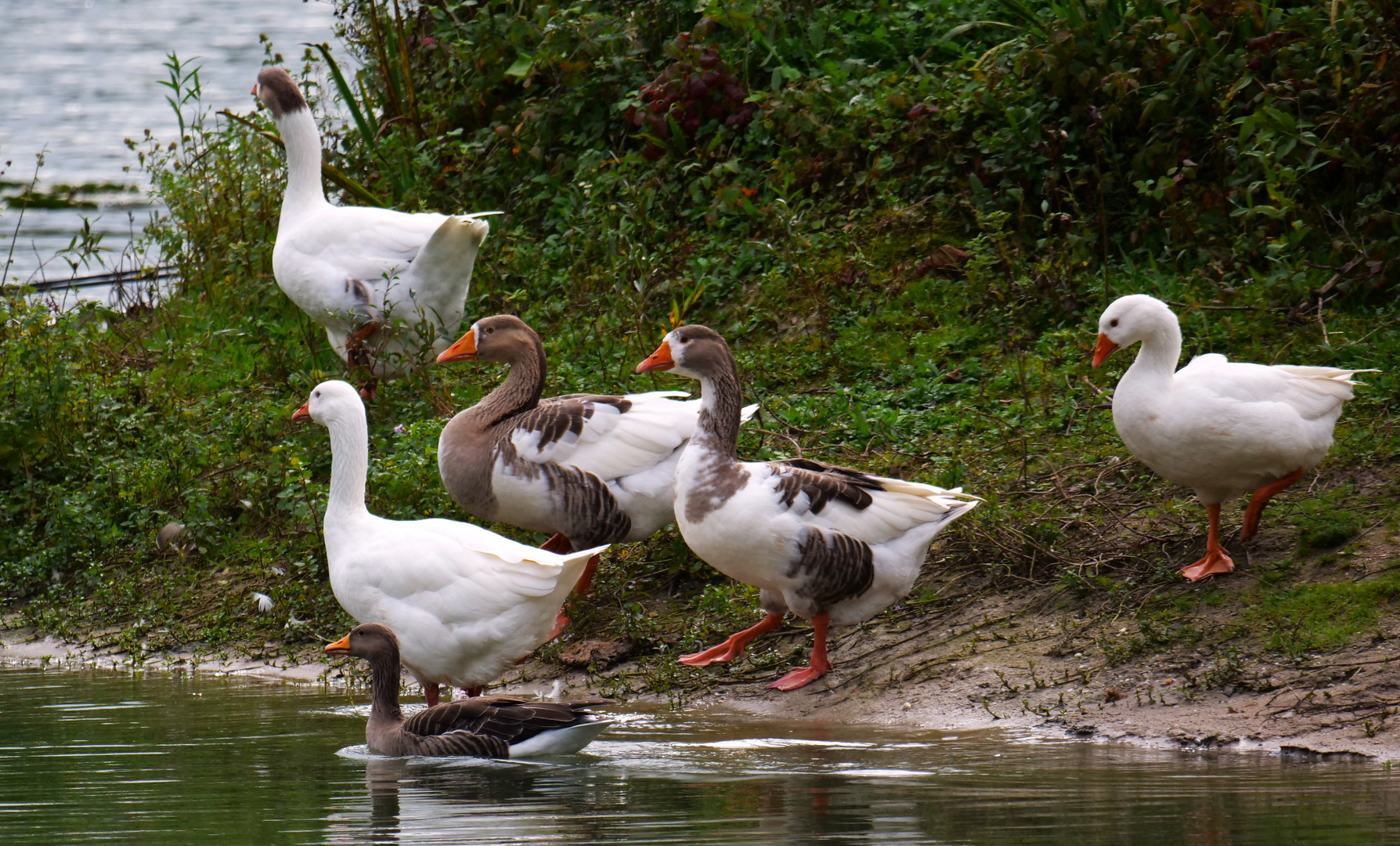 Familienausflug