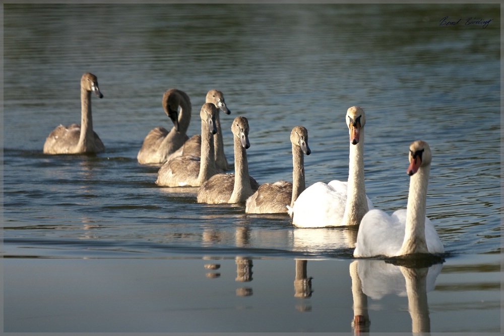 Familienausflug