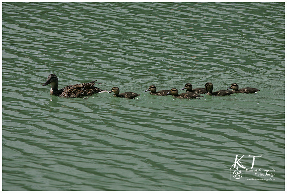 Familienausflug...