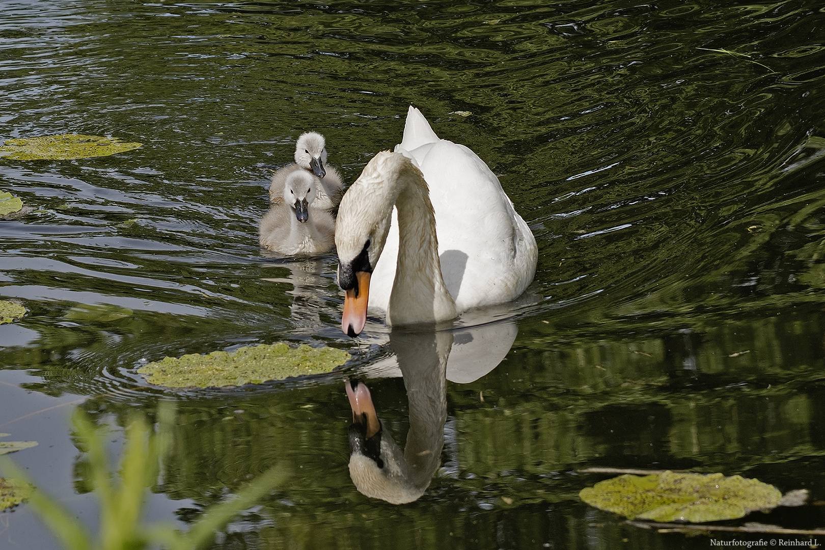  Familienausflug