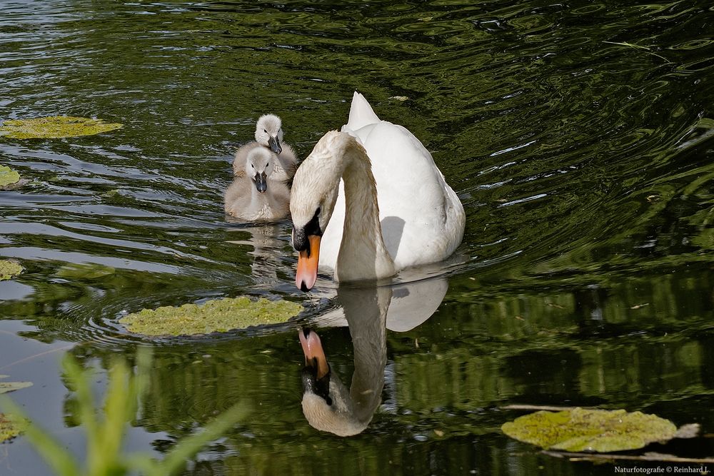  Familienausflug