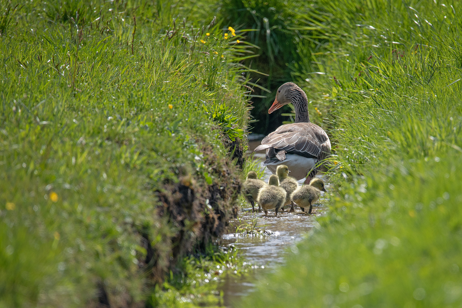 Familienausflug 2