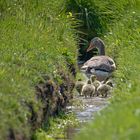 Familienausflug 2