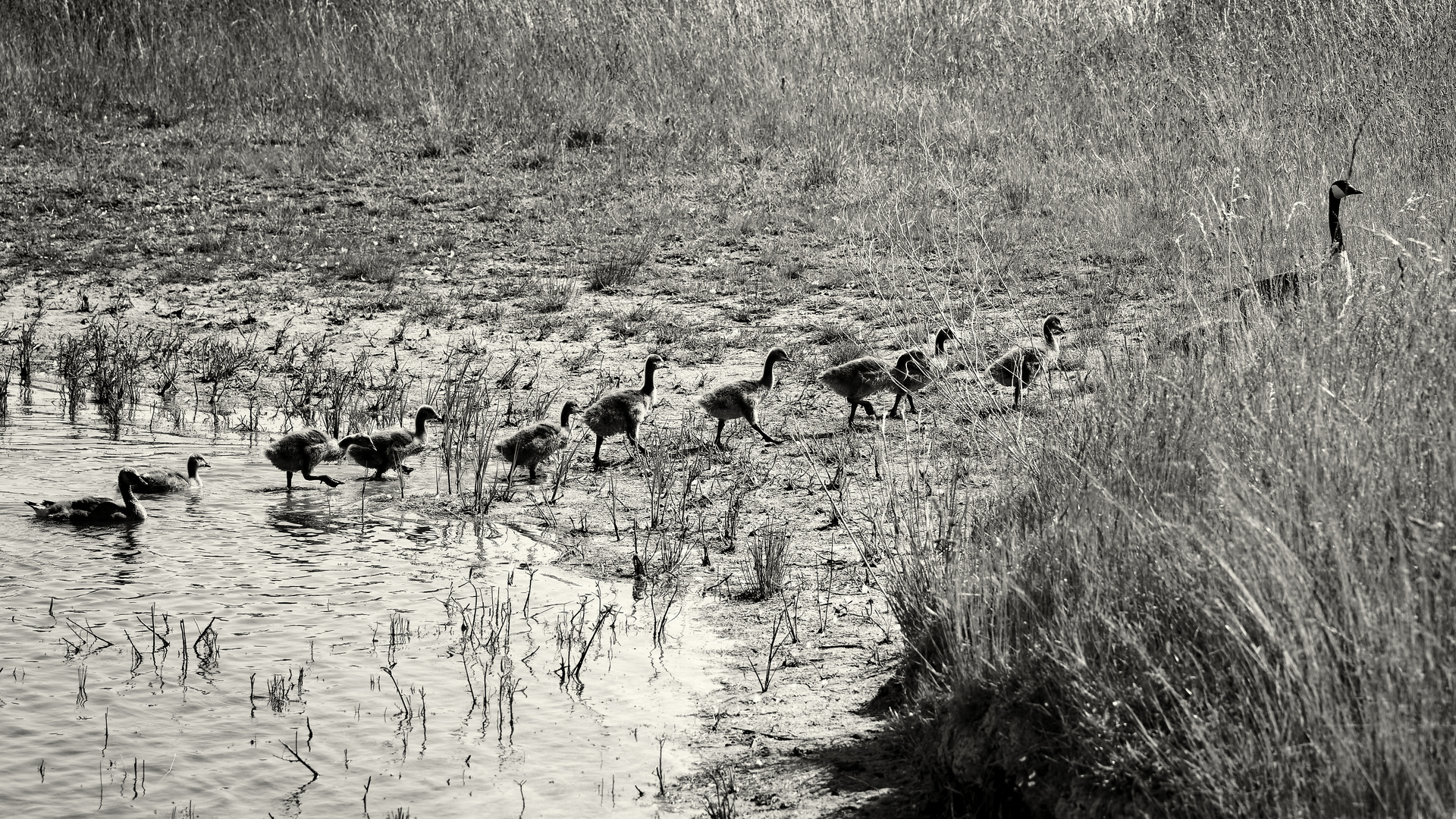 Familienausflug ... (2)