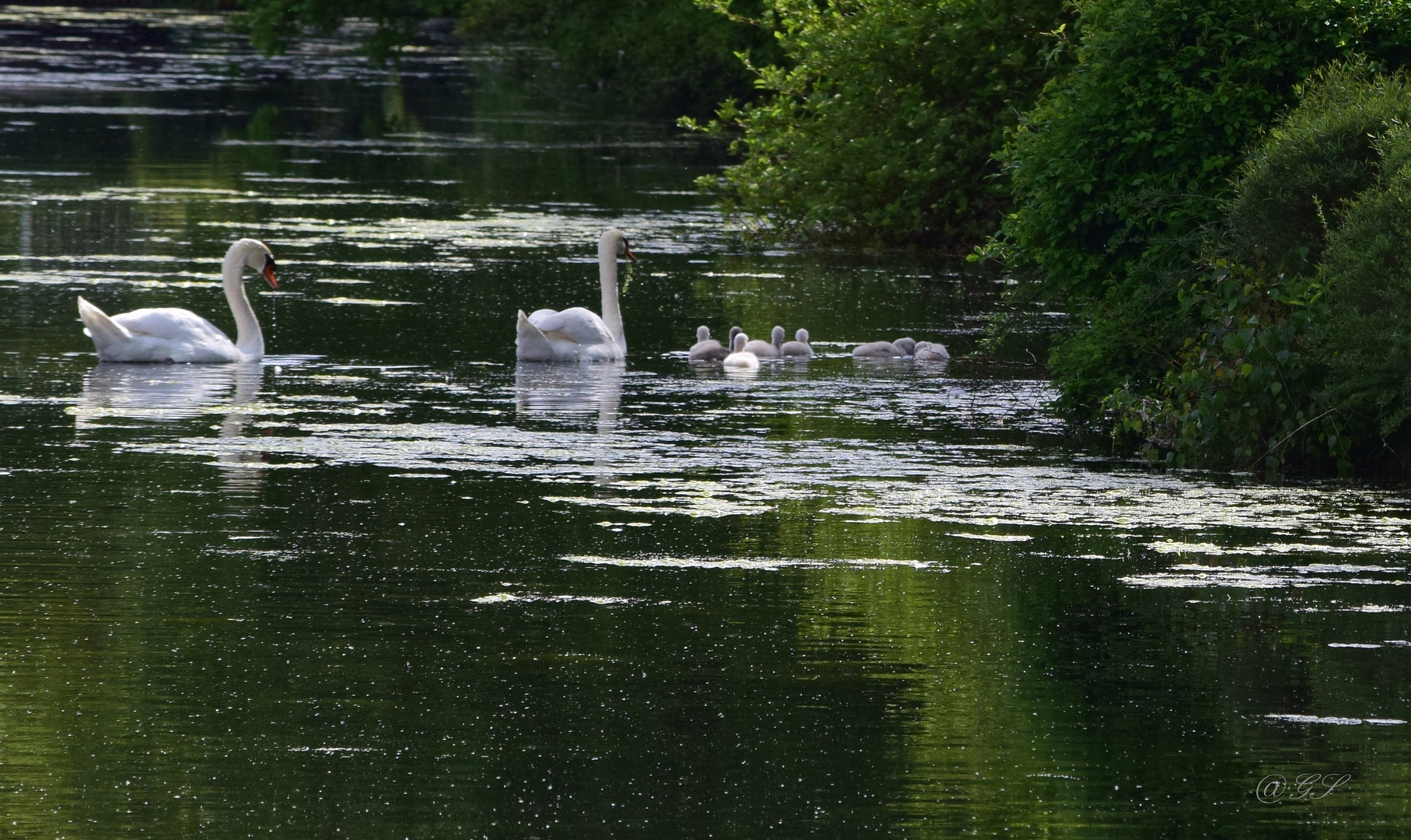 Familienausflug 2