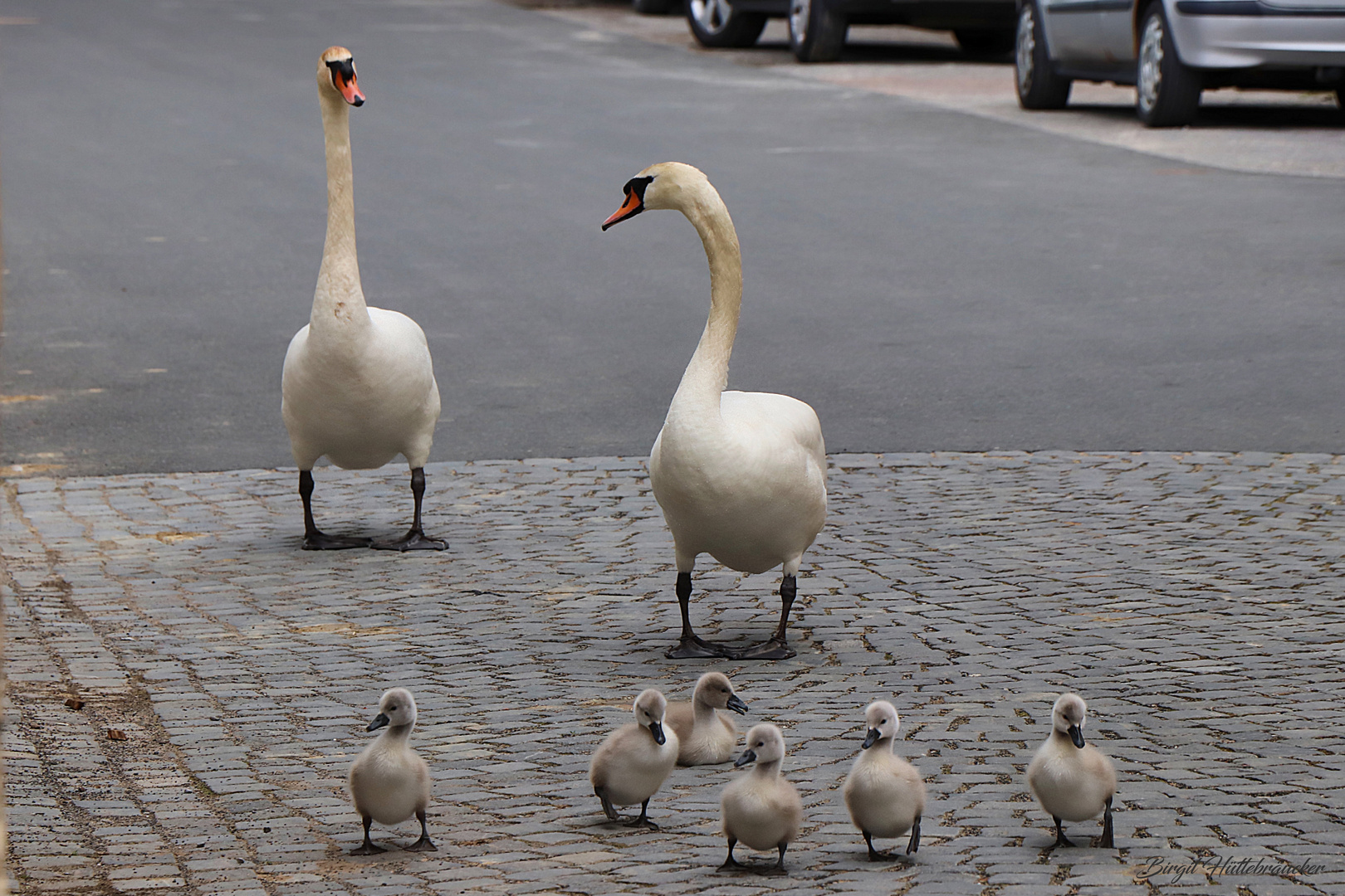 Familienausflug