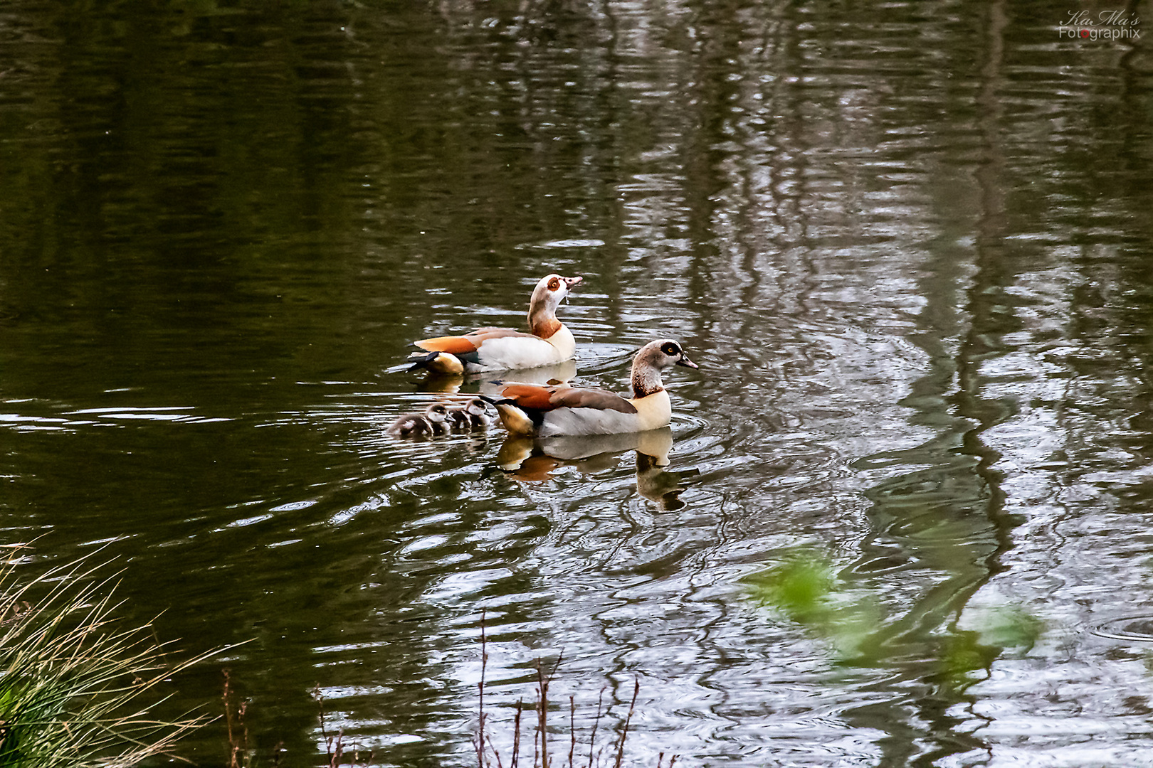 Familienausflug