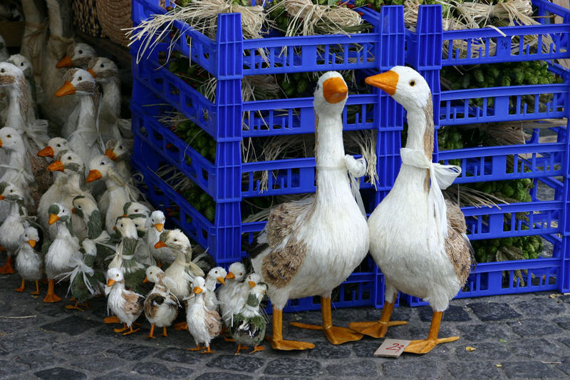 Familienausflug