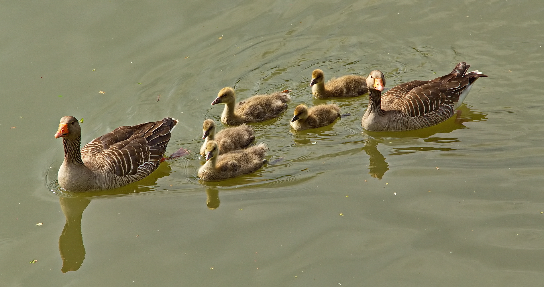 Familienausflug