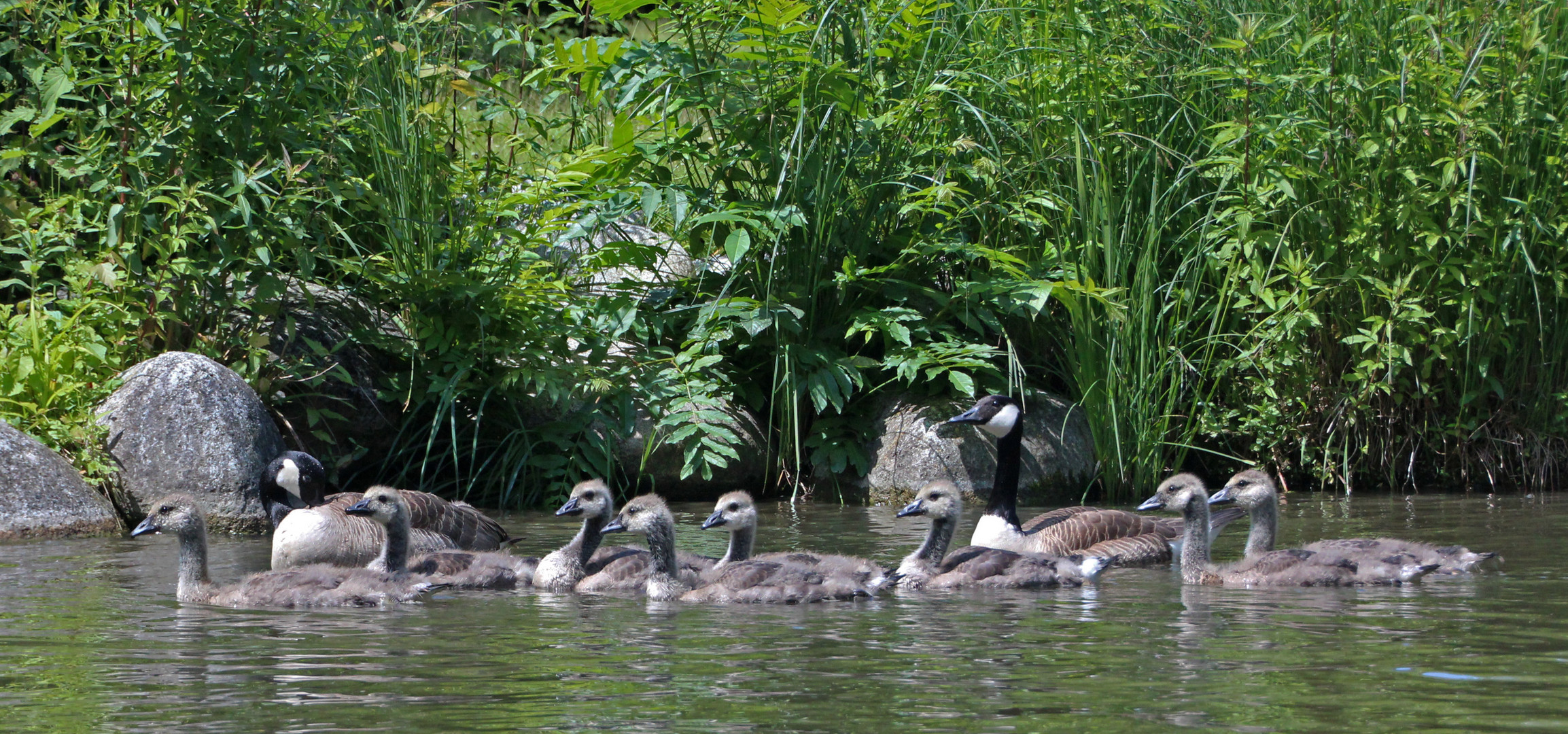 "Familienausflug"