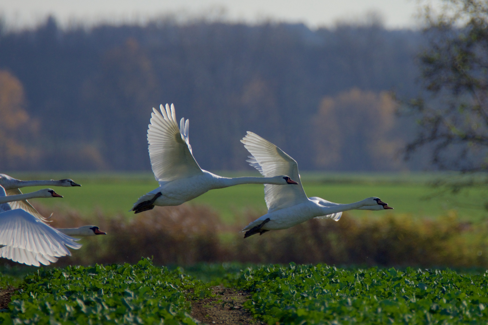 Familienausflug