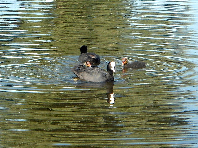 Familienausflug