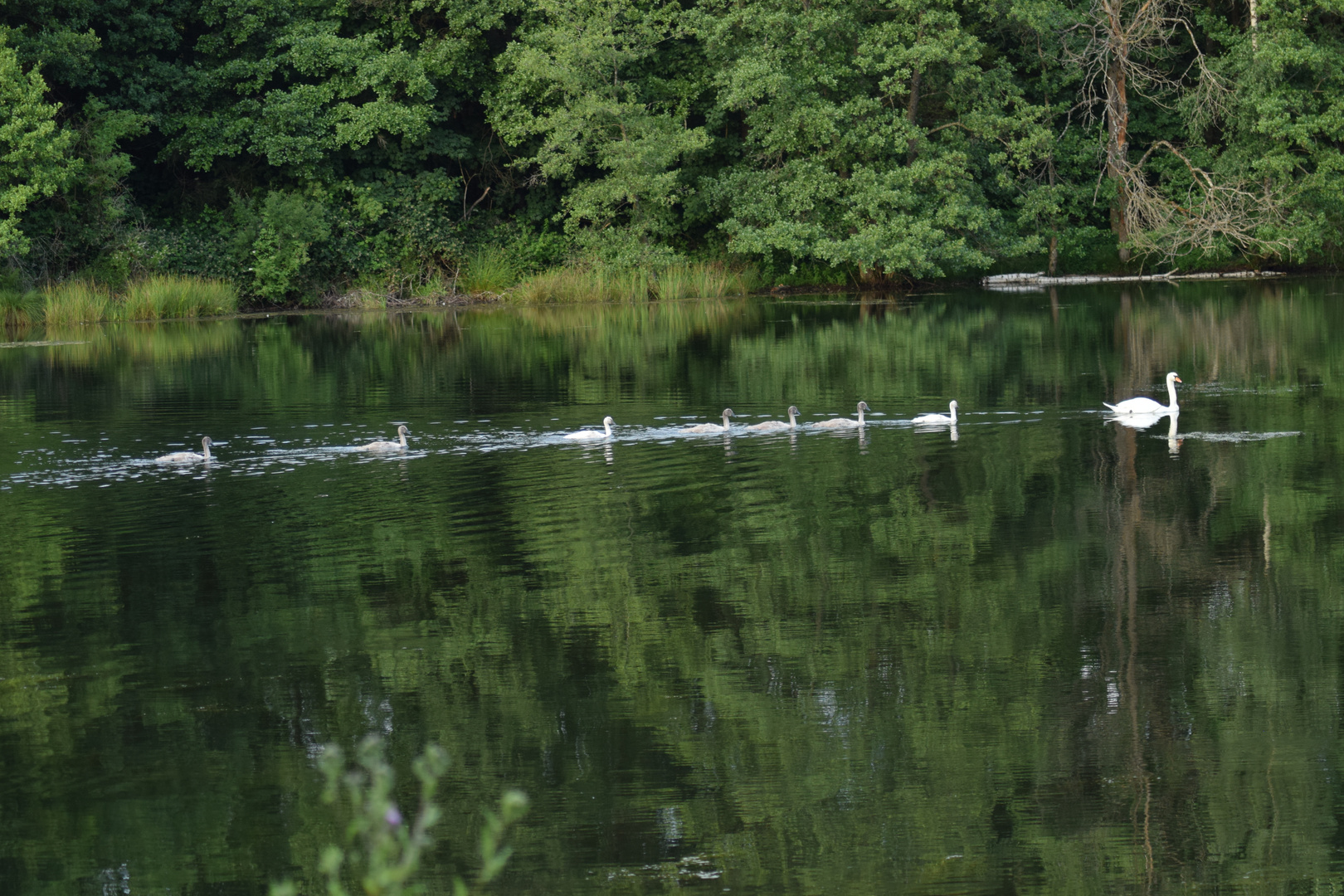 Familienausflug