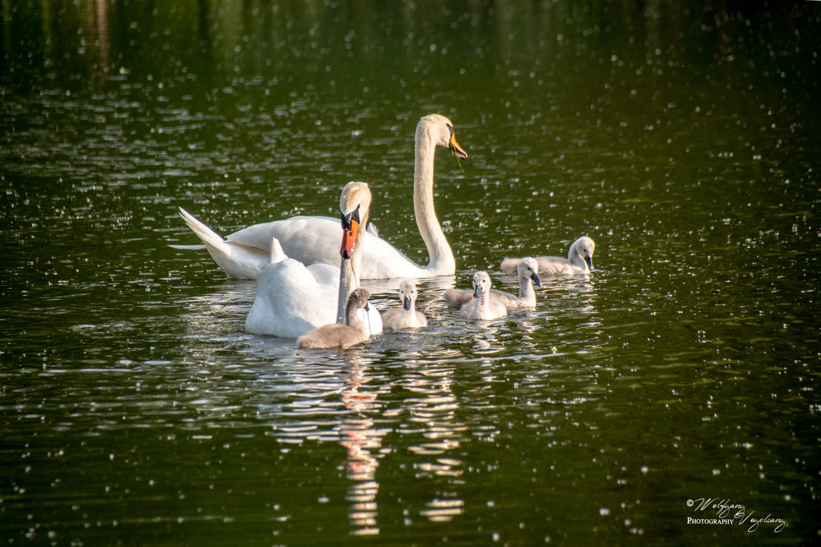 Familienausflug