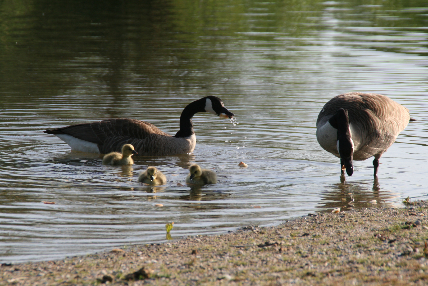 Familienausflug