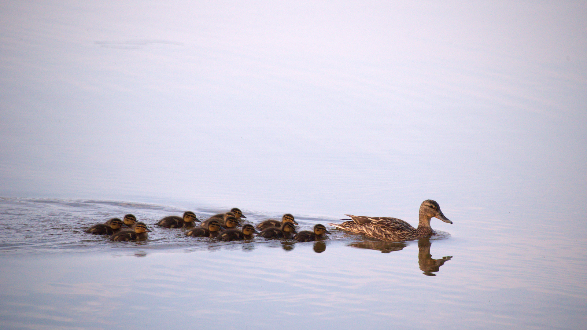 Familienausflug