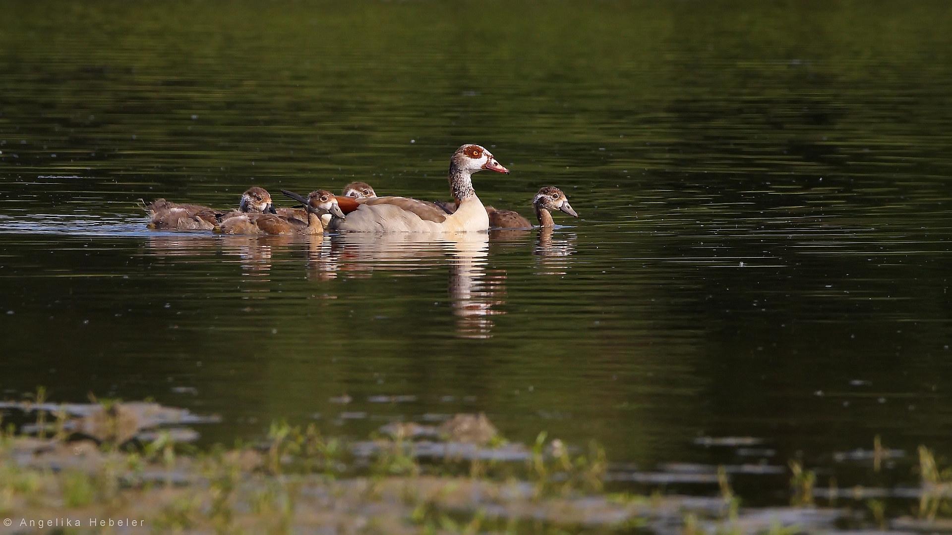 Familienausflug