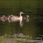 Familienausflug