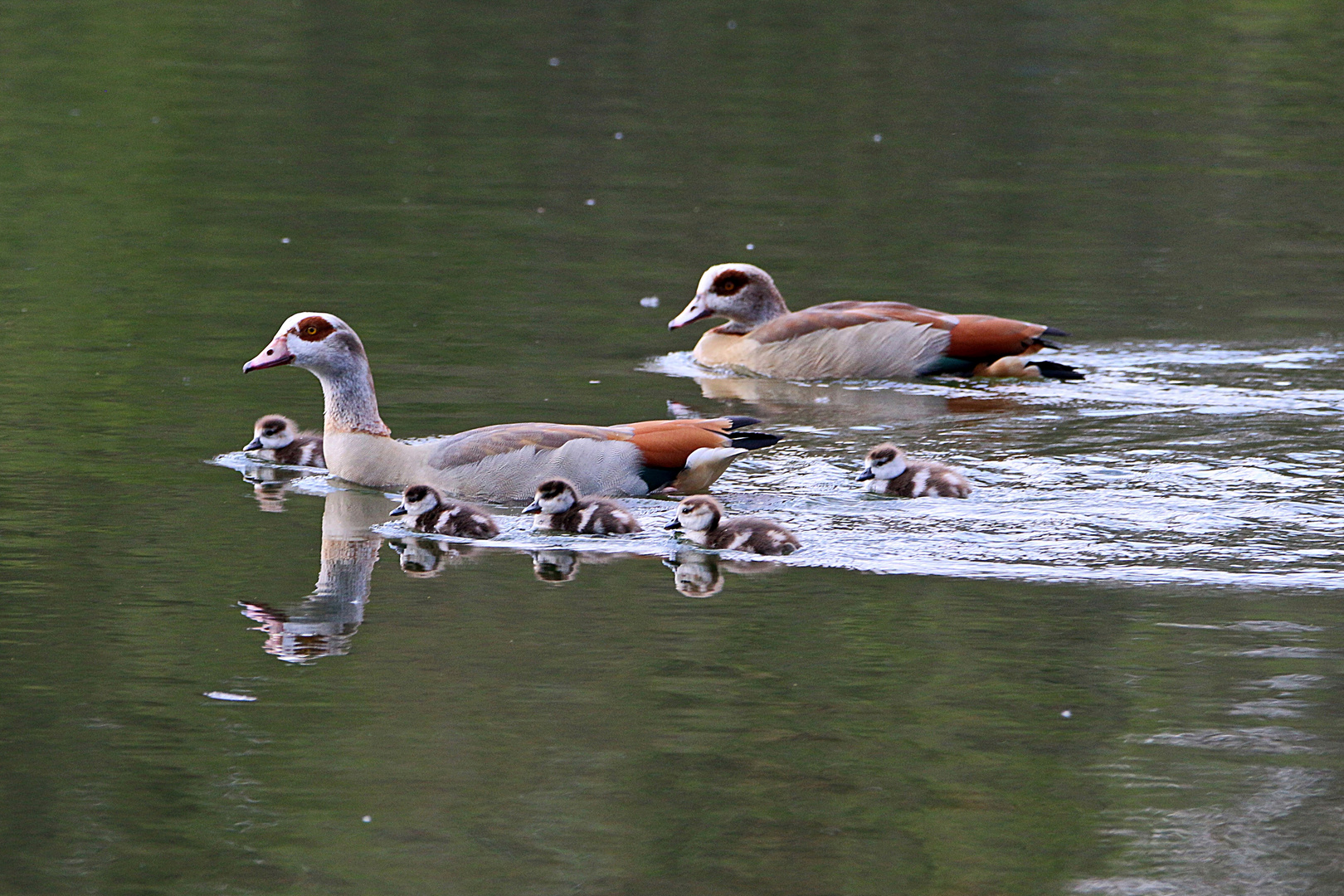 Familienausflug