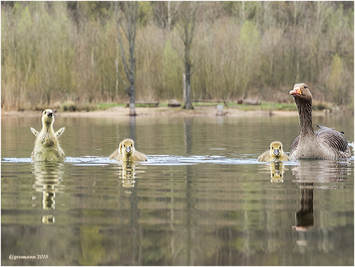 familienausflug....