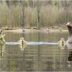 familienausflug....