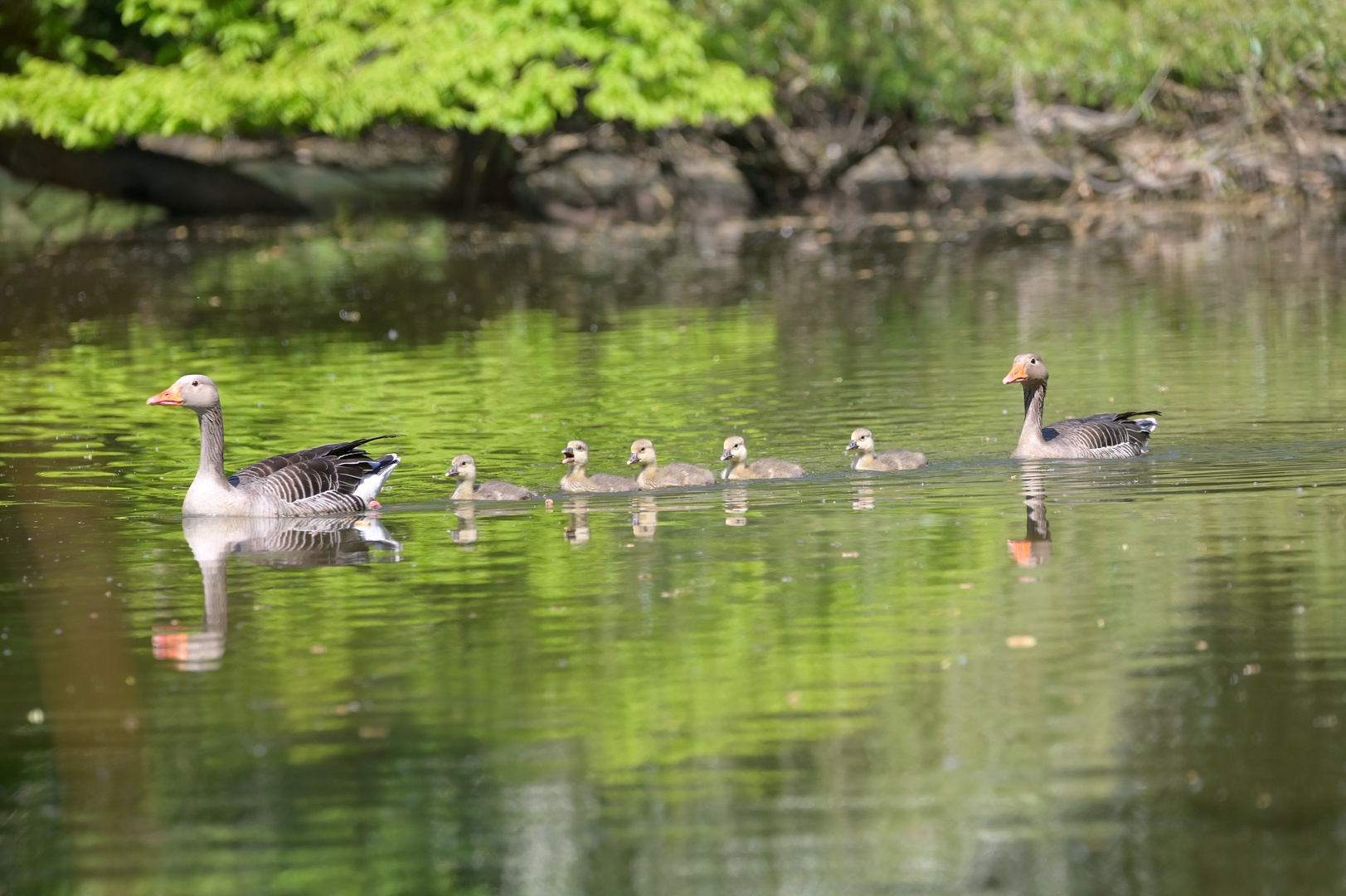 Familienausflug...