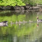 Familienausflug...