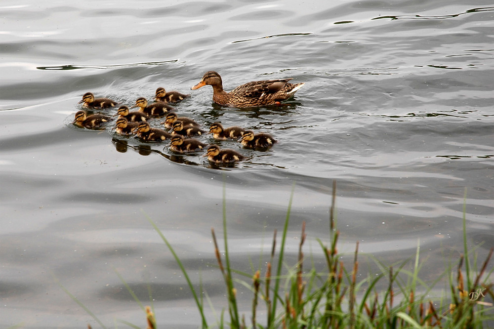 Familienausflug