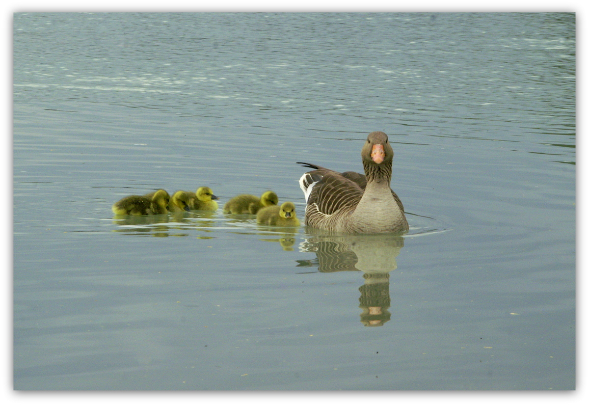 Familienausflug