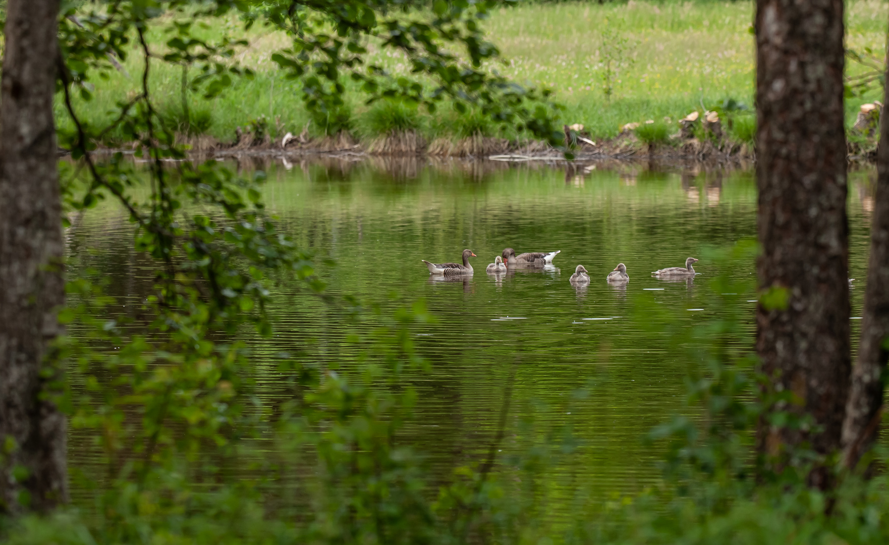 Familienausflug