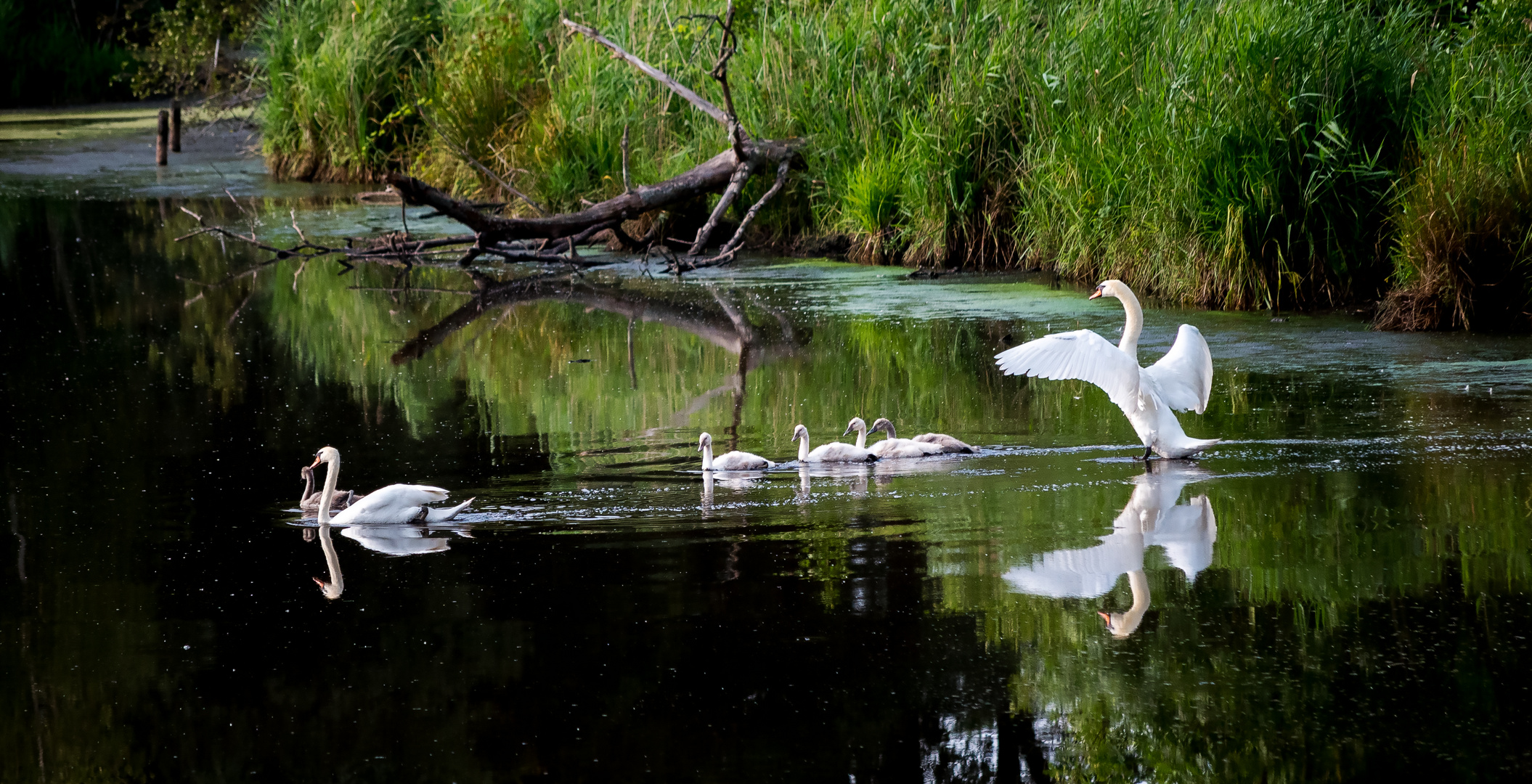 Familienausflug